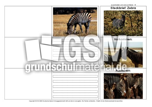 Flip-Flap-Zebra-2.pdf